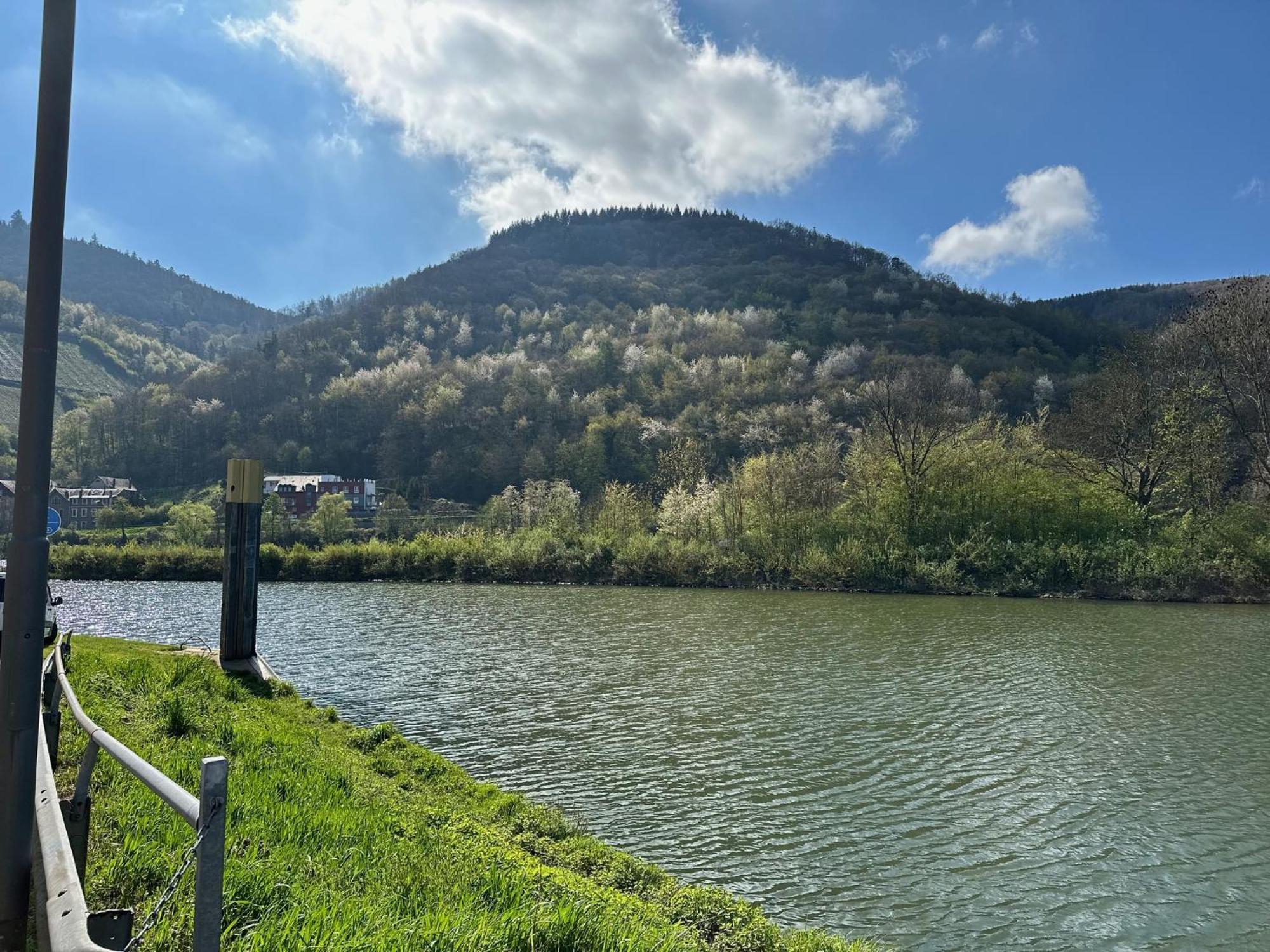 Altes Eichamt Daire Bernkastel-Kues Dış mekan fotoğraf